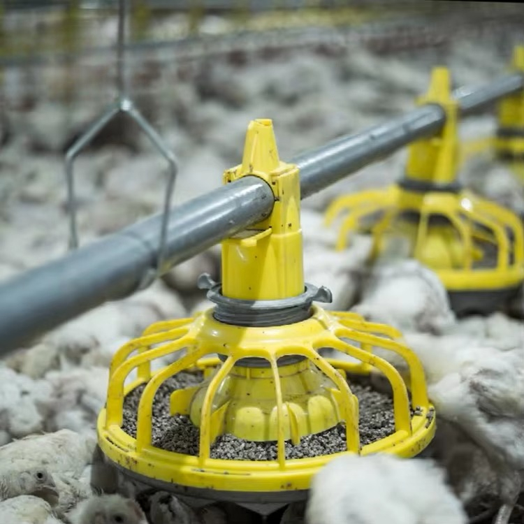 Farming Agriculture Equipment - Chicken and poultry agricultural equipment/broiler feed