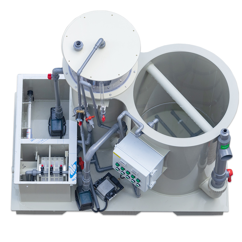 Farming Yt - Recirculating Aquaculture System Fish Farming Integrated