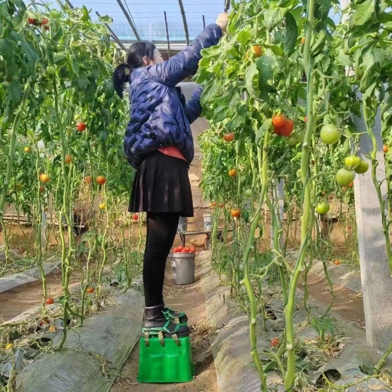 Greenhouse Farm Heightening St - Agriculture Farming Shoes review and price