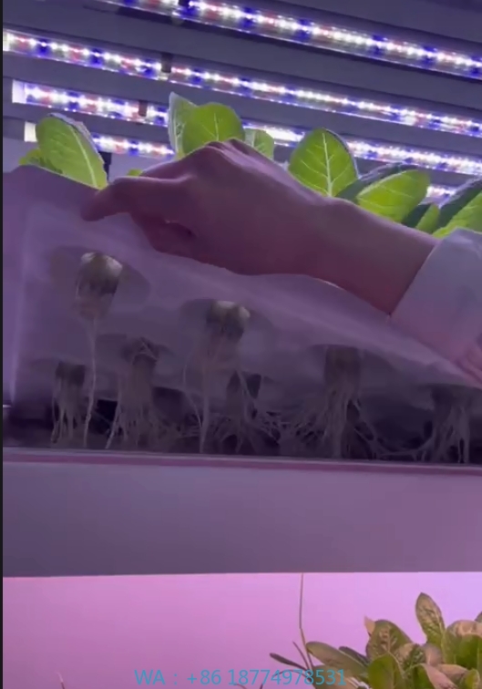 f Greenhouse Agricultural Equi - Farming Agriculture Equipment review and price