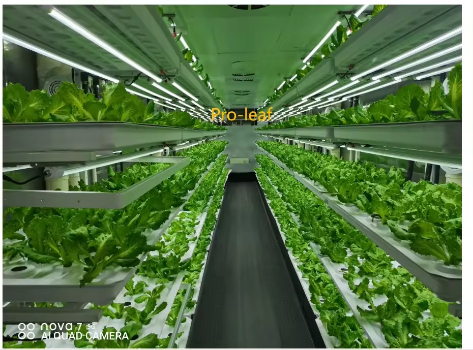 f Greenhouse Agricultural Equi - Farming Agriculture Equipment review and price