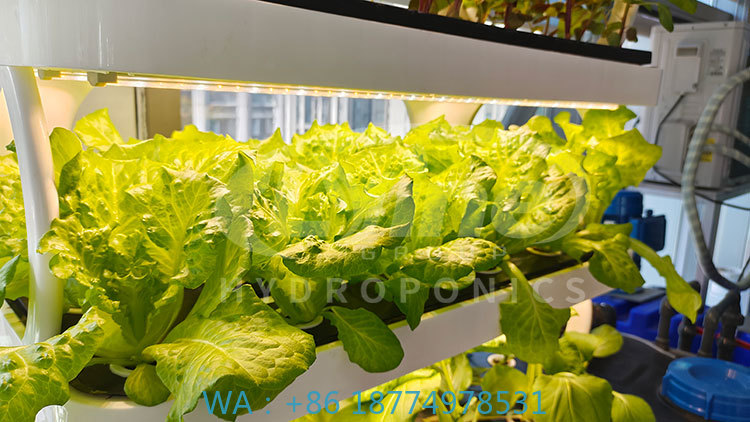c Agriculture Machine to Growi - Farming Agriculture Equipment review and price