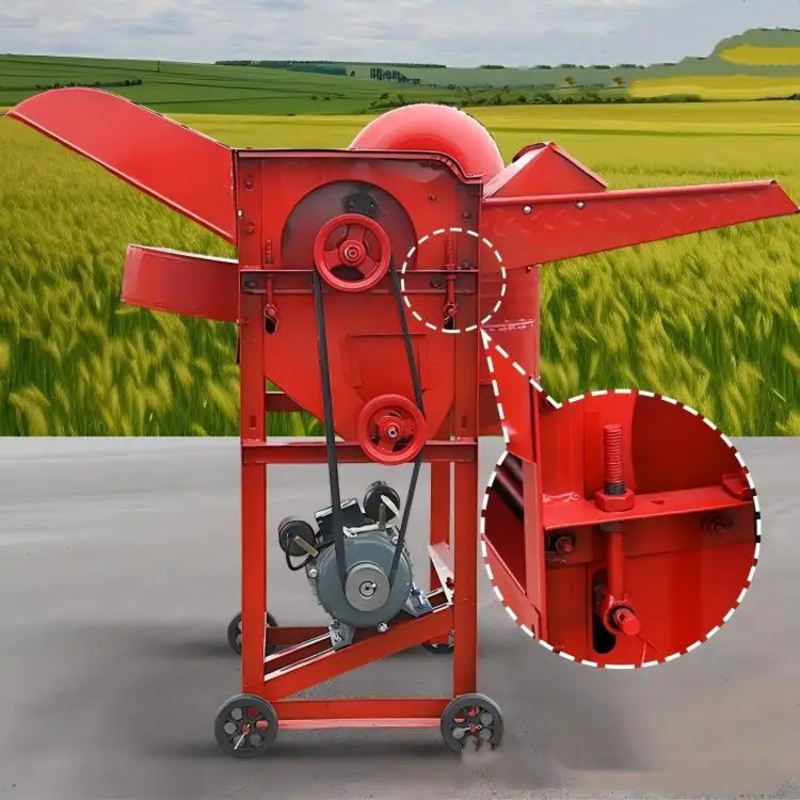Birui Multifunctional Mini Aut - Rice Thresher Machine review and price